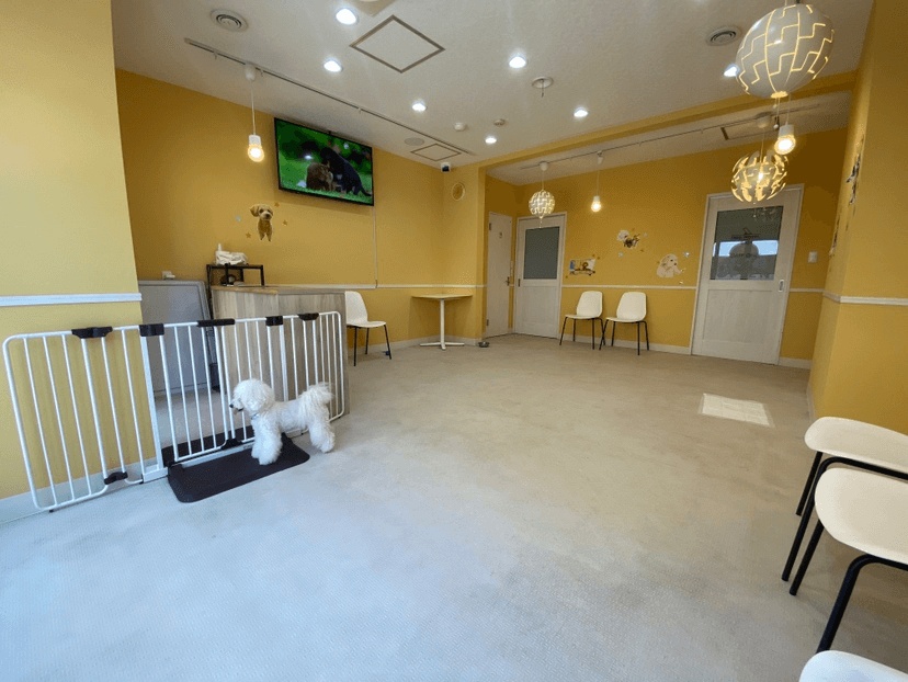 Pets Tokyo Gotokuji No.2 facility photo 3