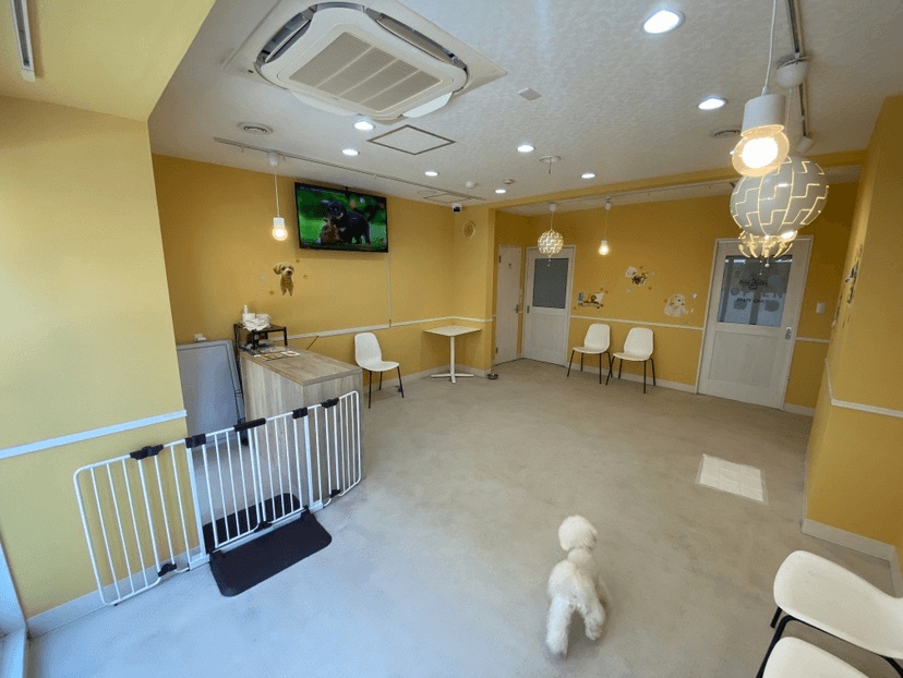 Pets Tokyo Gotokuji No.2 facility photo 4