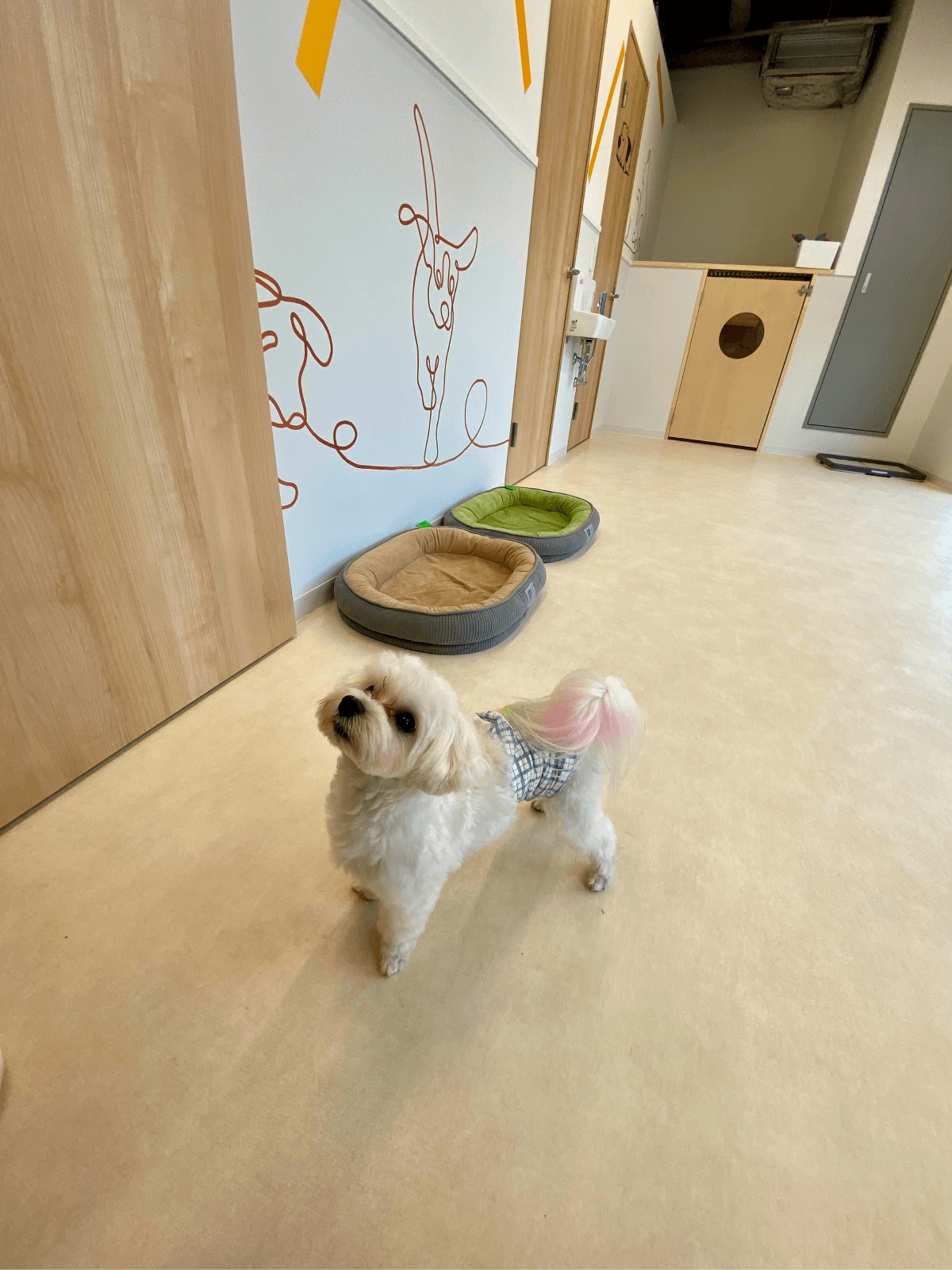 Pets Tokyo Nagahara facility photo 6