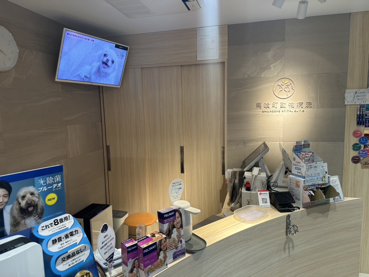 Bakurocho Animal Hospital facility photo 2
