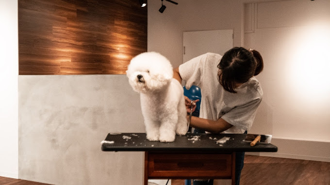 Pets Tokyo Takadanobaba facility photo 4